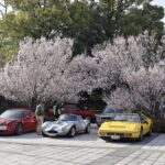 2026年3月20日THE 徳川 RUN写真集１